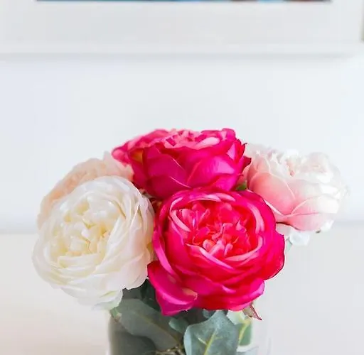 Our City Flat * Порту