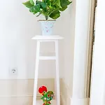 Our Flat *